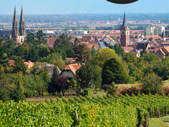A Obernai, face au parc, un cadre de vie exceptionnel
