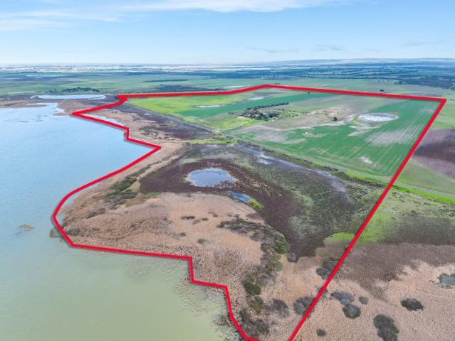 A Once in a Generation Australian Homestead Overlooking Lake Alexandrina