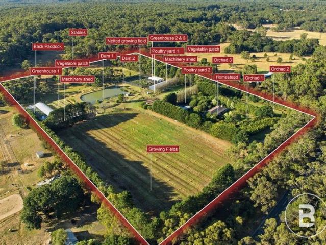 A ONCE IN A LIFETIME 20 ACRE ESCAPE: HAZELNUTS, PALMS & ENDLESS POSSIBILITIES