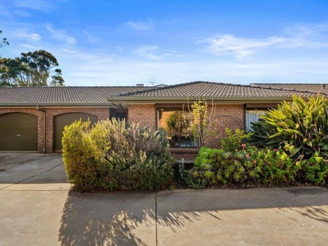 A beachside base with room to spare, light to chase, and Seacliff's shoreline on speed dial