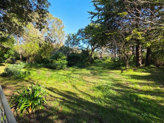 A Beautiful Setting for Your Dream Home