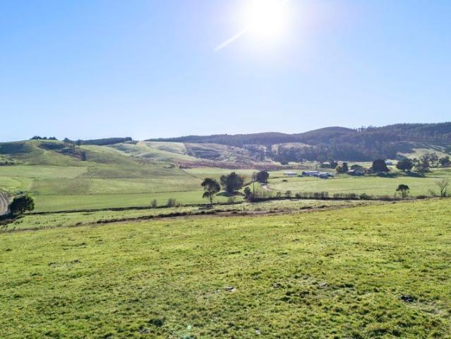 A beautiful small acreage with genuine capability