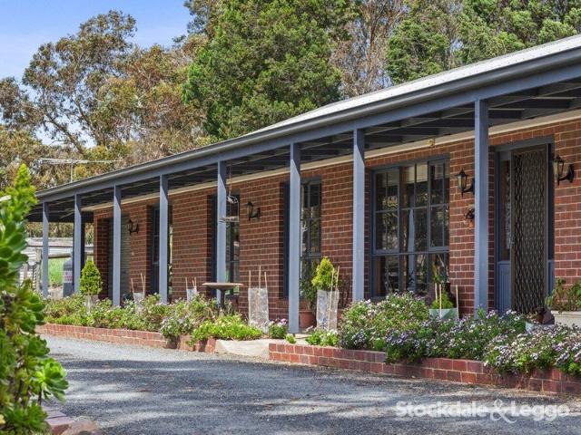 A BELLARINE LIFESTYLE WITH ROOM TO MOVE & ENTERTAIN