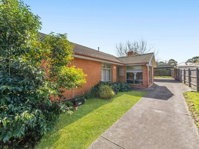 A Blank Canvas with Outstanding Future Potential