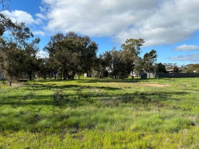 A Blank Canvas with a Bright Future 1,016sqm