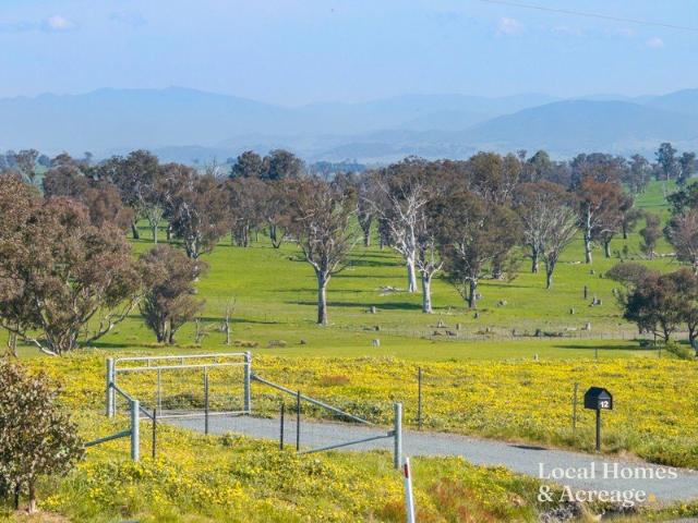 A Blank Canvas with Brindabella Views