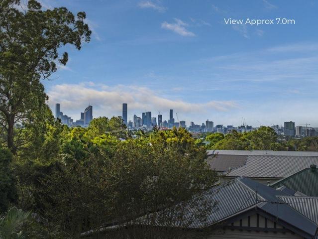 A Blank Canvas Among the Trees with City Views
