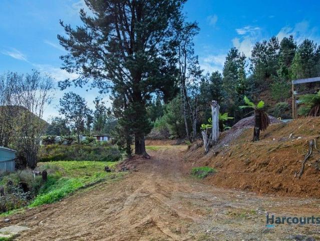 A Blank Canvas at the Edge of Queenstown!
