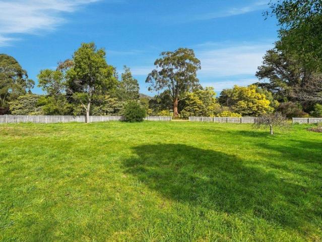 A Blank Canvas in the Heart of Cygnet