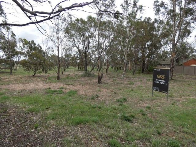 A BLOCK FULL OF GUM TREES