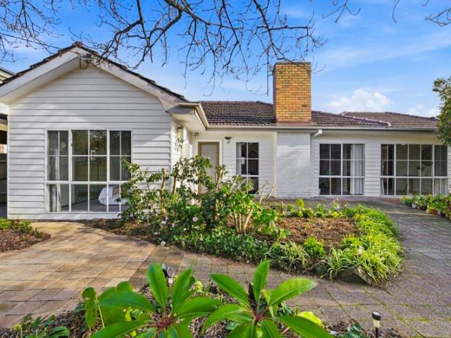 A breathtaking corner oasis in the enviable Box Hill High School zone