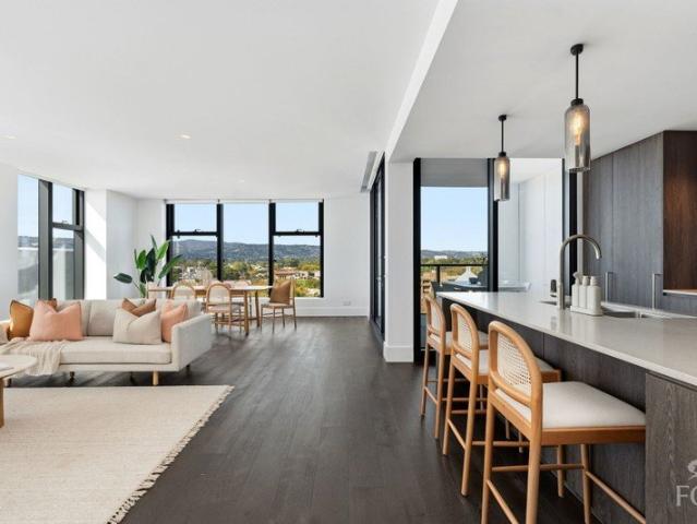 A Corner Residence Defined by Light, Outlook and Scale