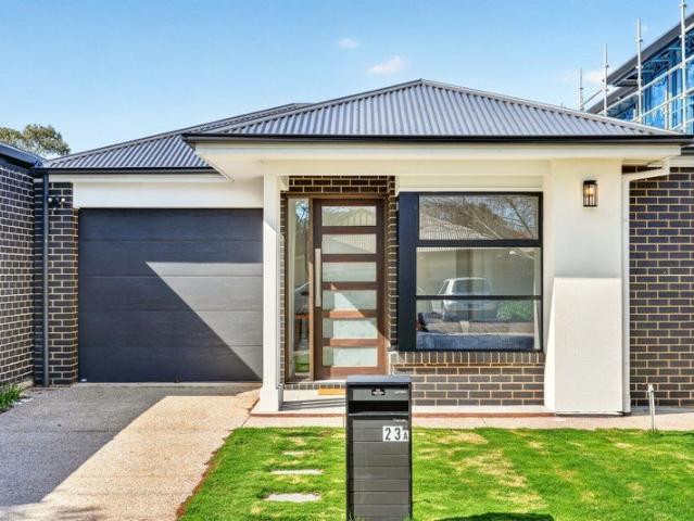 A Crisp Hillcrest Haven Ready To Love From Day One