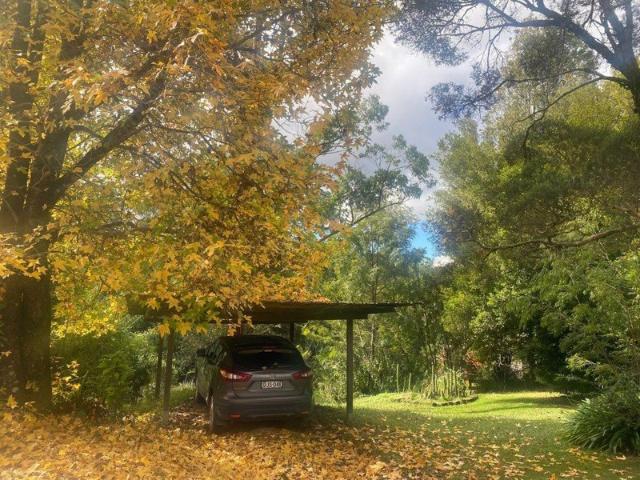A delightful and affordable escape to the country 146 Glenwarrinn Rd Elands 2429