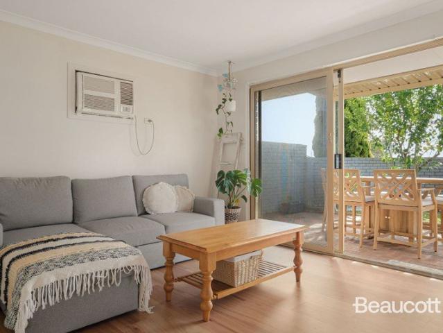 A Dianella Opportunity Not to Be Missed