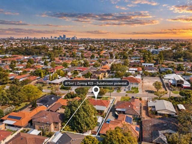 A Dianella Original with a Big Future