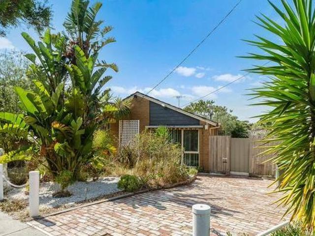 A Dream Blank Canvas With A Brilliant Shed