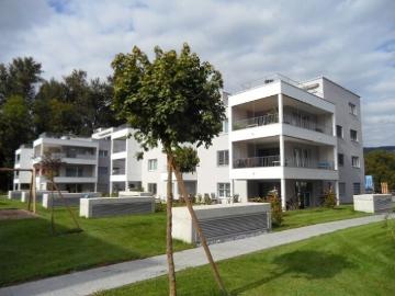 Au, Bremgarten, Fohlenweid, Bezirk Bremgarten, Aargau