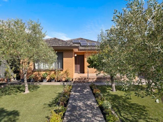 A FAMILY CLASSIC WITH 732SQM OF LAND