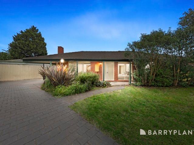 A Family Favourite in a Peaceful Court Setting