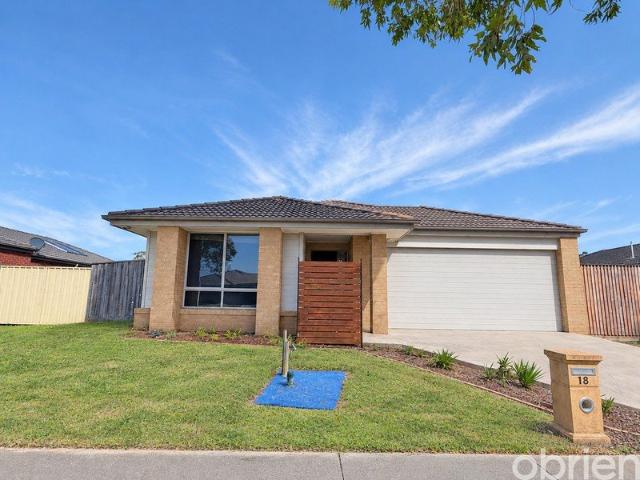 A Family Favourite in Paynesville