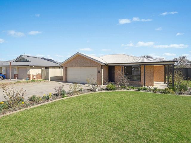 A Family Favourite with Space to Grow