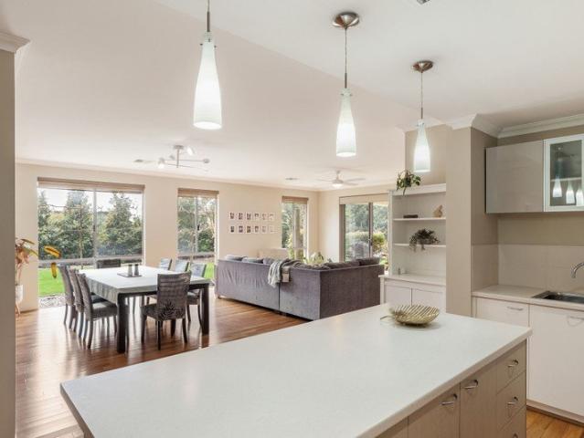 A Family Haven with Treetop Views