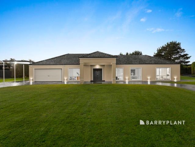A Family Home Designed for Space and Entertaining