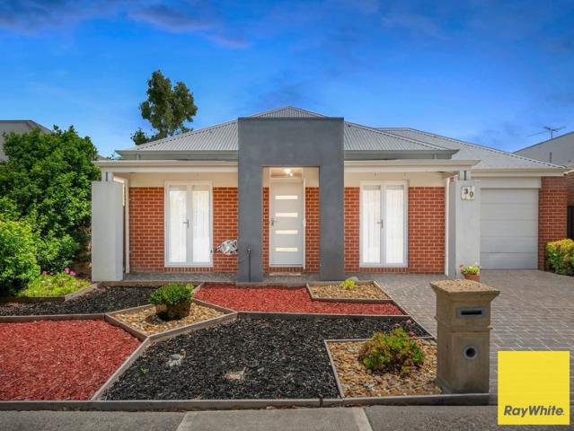 A Fantastic Opportunity for First Home Buyers & Investors