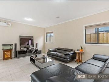 A Feel Good Family Home