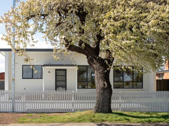 A Fresh Start in Summerhill