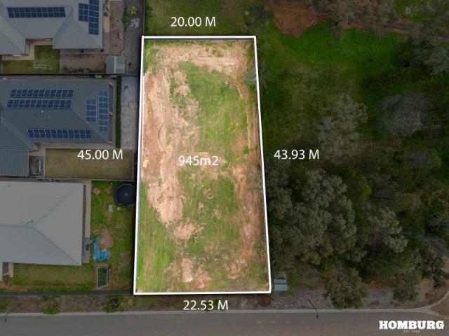 A Generous 945m² Block Ready to Build Your Future