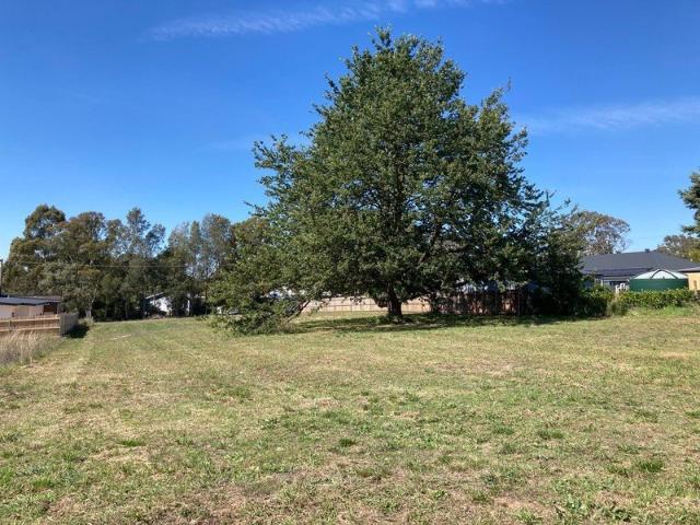 A good size back yard for Lot 19