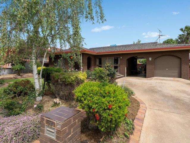 A Great Little Gem in a Central Location