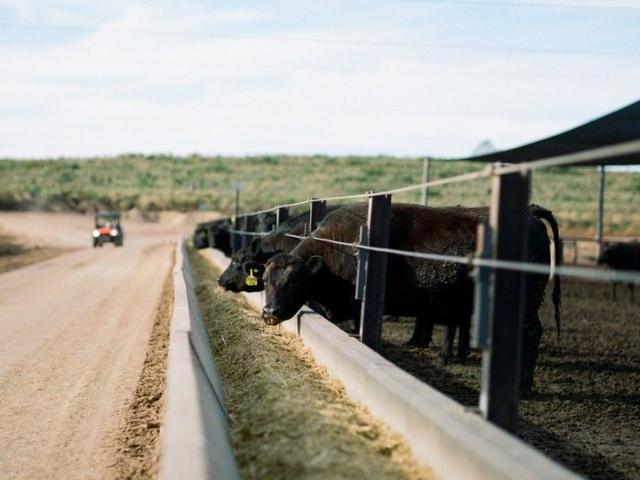 A highly developed feedlot operation capacity of 18,500* SCU, located in the tightly held South Burnett region of south eastern Queensland