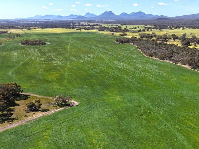 A Highly Improved Farming Property with Water on Tap
