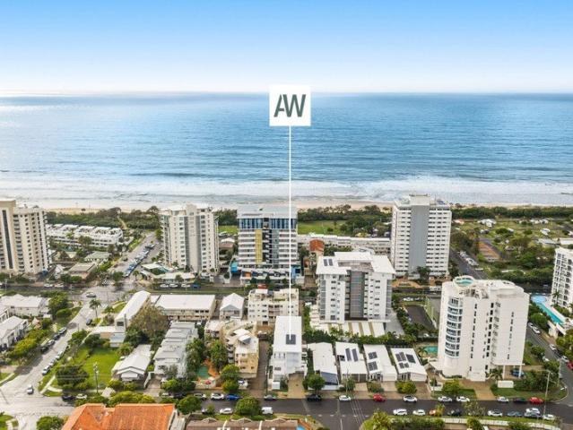 A Highly Sought after Cotton Tree delight