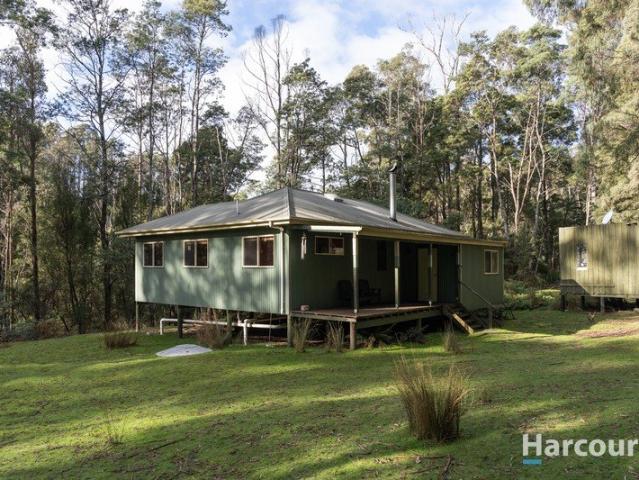 A Hidden Tasmanian Sanctuary with Endless Potential
