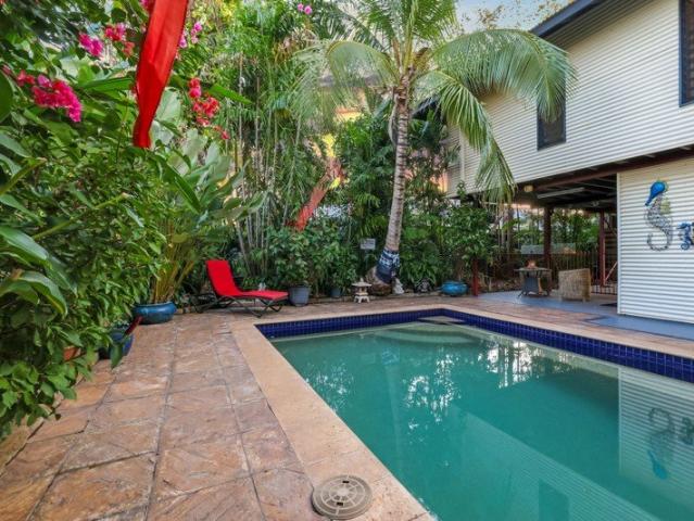 A Hidden Tropical Oasis in the Heart of Gunn