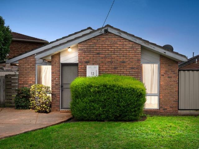 A Hidden Gem in a Quiet Mill Park Court