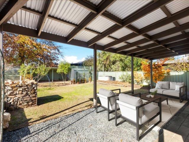 A Hidden Haven in the Heart of Mansfield