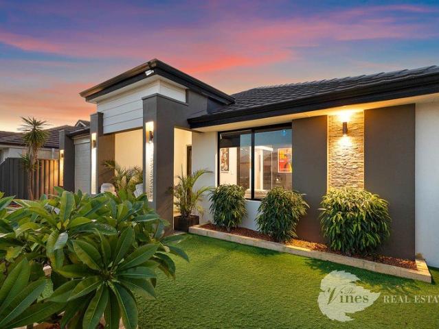 A Home That Refuses to Be Boring!