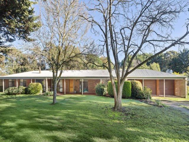 A Homestead of Peace & Privacy