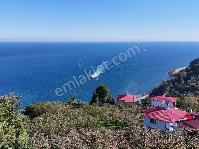 Açık Otoparklı Deniz Manzaralı Müstakil Bahçeli Villa