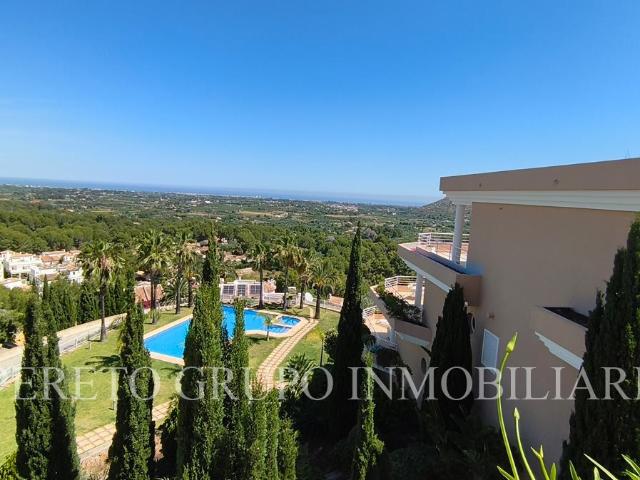 & 13 & 13 142m² Pedreguer