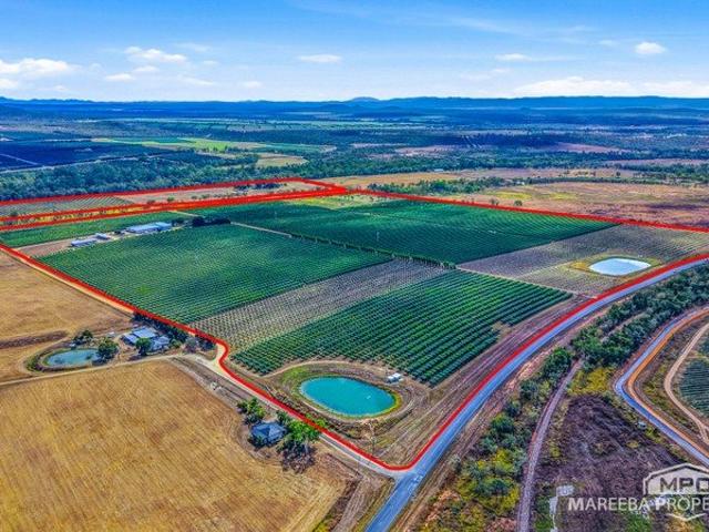 A Landmark Family Orchard with Outstanding Water Security & Modern Infrastructure