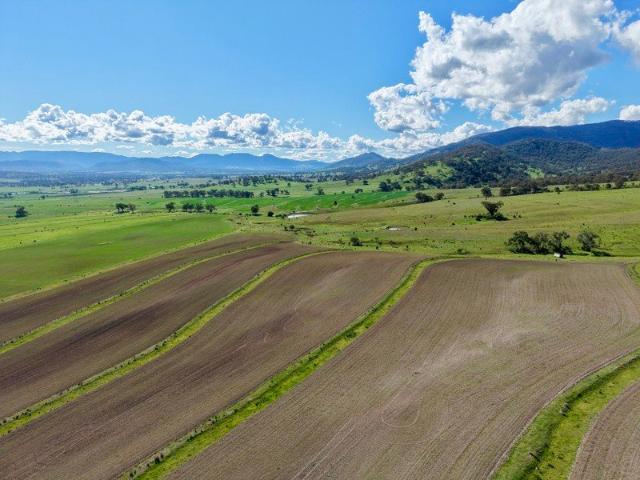 Rural Lifestyle Subdivision Offering on the Outskirts of Scone