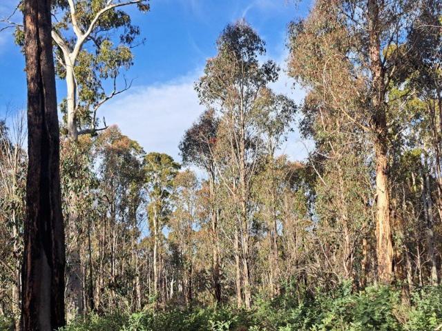 A Large Slice of Tasmania's Wild Interior