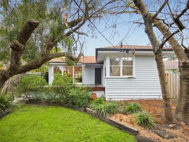 A Leafy Haven of Space and Seclusion