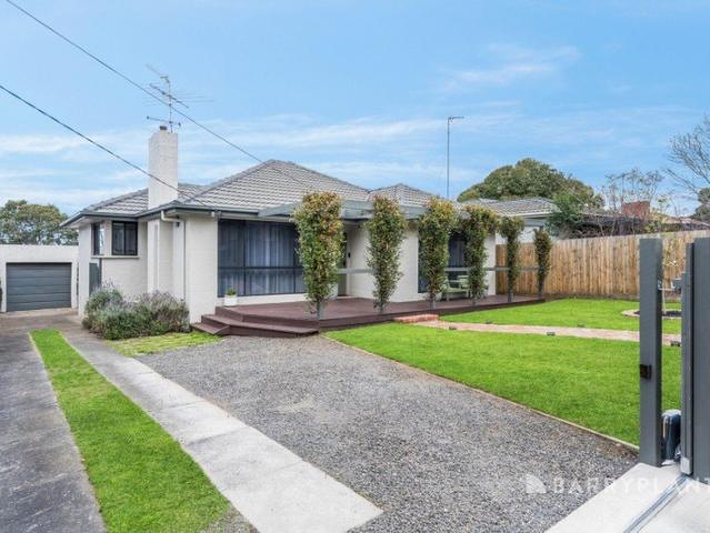 A Light Filled Belmont Charmer with Space & Style